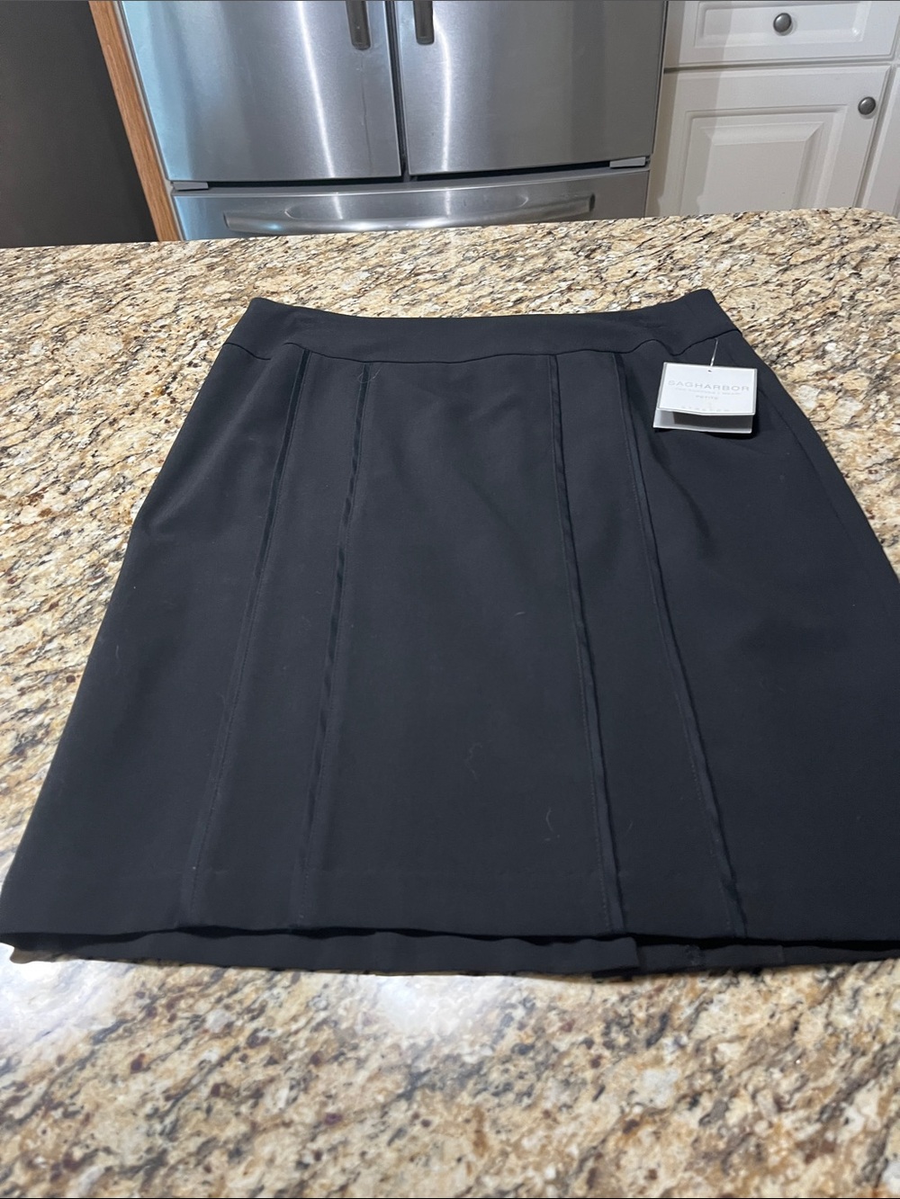 Sag Harbor Black A-Line Paneled Skirt